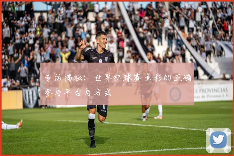 专访揭秘:世界杯球赛竞彩的正确参与平台与方式
