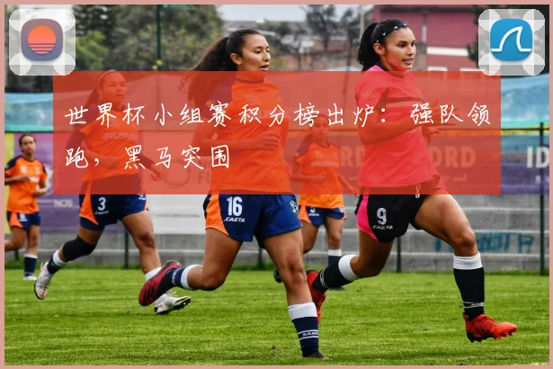 世界杯小组赛积分榜出炉：强队领跑，黑马突围