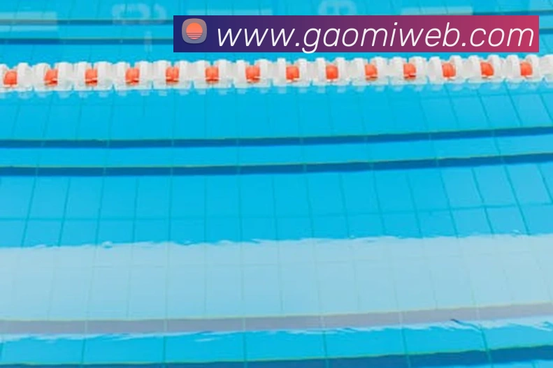 多媒体互动体验